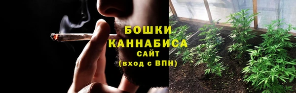 меф Ельня