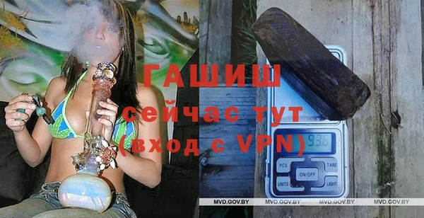 меф Ельня