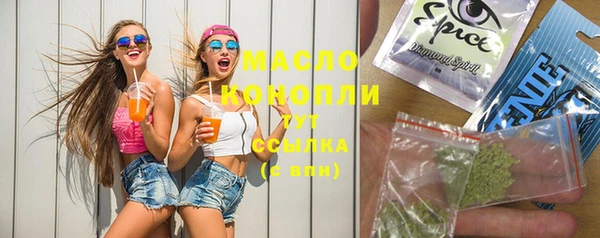 меф Ельня