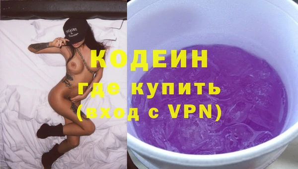 меф Ельня