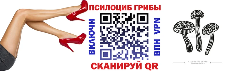 Псилоцибиновые грибы Cubensis  Иннополис 
